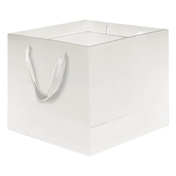 白卡紙袋套裝  250g 磅數白卡紙+PP帶  直立款/橫款  白方2  1包