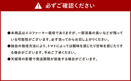 ソムリエ ミニ トマト ダイヤ 3kg×3回 合計9kg とまと トマト