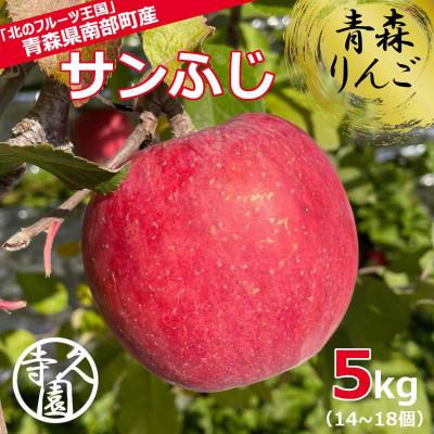 ふるさと納税 南部町 青森 りんご サンふじ( 甘い 完熟ジューシー)　約5kg