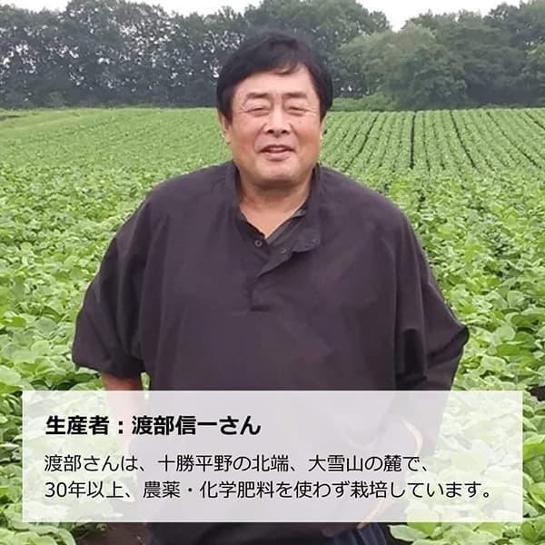 業務用 無農薬金時豆 渡部信一さんの金時豆約30kg（約30kg×1袋） 北海道産 無農薬栽培30年の美味しい金時豆 渡部さんは化学薬品とは無縁の生産者