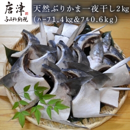 天然ぶりかま一夜干し ハーフ2食×7袋 計1.4kg・フル1食×3袋 計600g(合計2kg) おかず おつまみ 「2023年 令和5年」