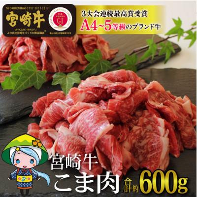 ふるさと納税 美郷町 宮崎牛　こま肉　約600g