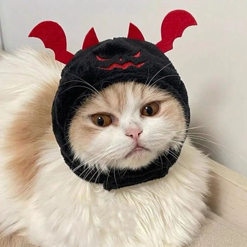 🎃萬聖節 節日裝飾 cosplay🎃萬聖節寵物帽子  貓咪搞怪吸血鬼變裝帽 狗狗蝙蝠頭飾拍照裝扮道具
