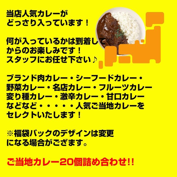 ご当地カレー 福袋 10,000円セット(20個入り) 景品福袋　ノベルティ