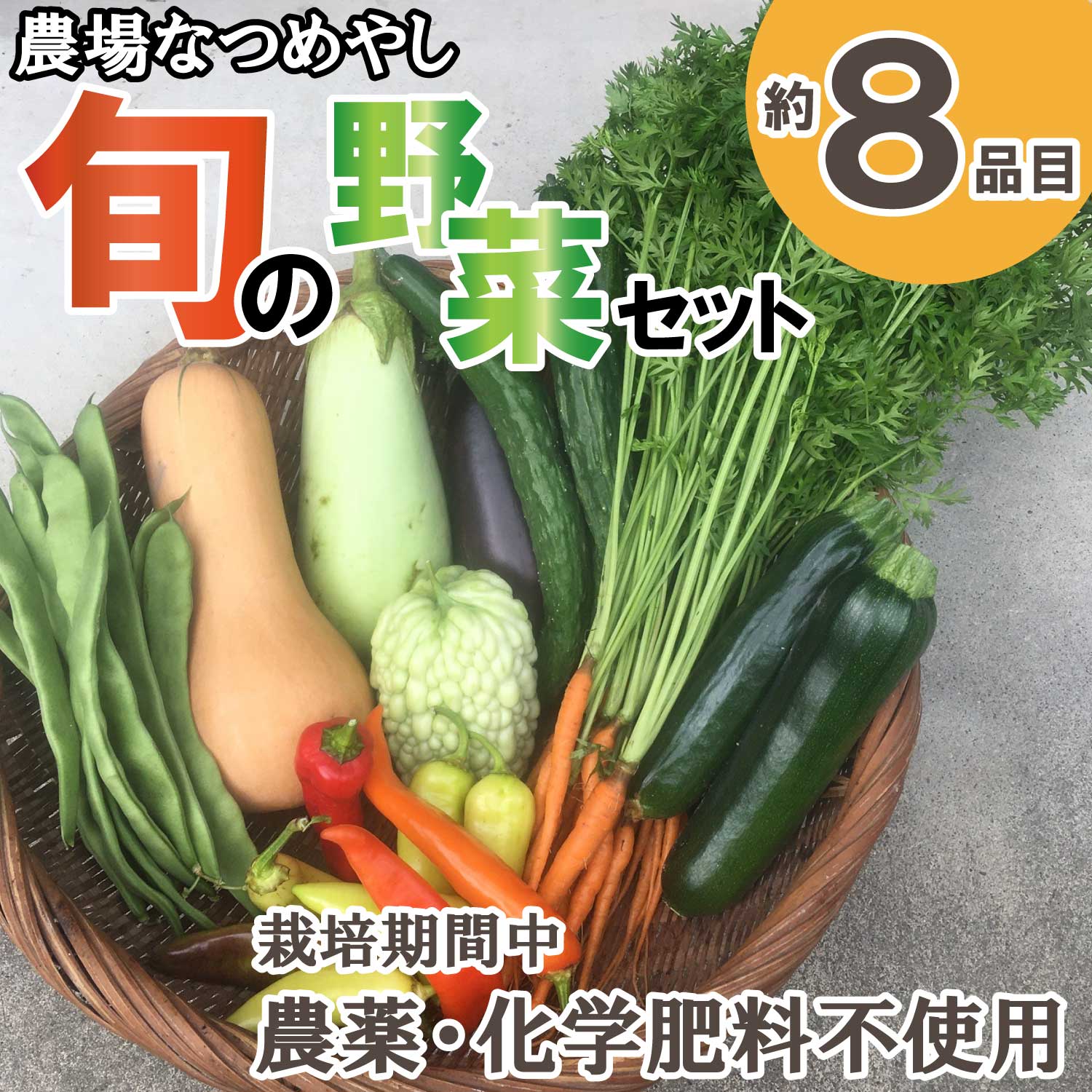 農場なつめやし　旬の野菜セット（栽培期間中、農薬・化学肥料不使用）[814]