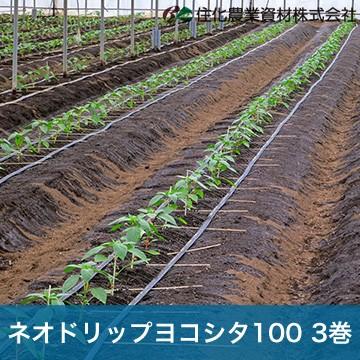 住化農業資材 灌水チューブ ネオドリップヨコシタ100 WB9030 200M×3巻 ハウス向け  潅水 散水 農業用