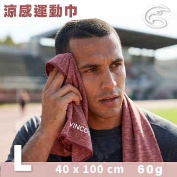 ADISI WINCOOL長效型乾爽散熱運動涼感巾【暗紅/Ｌ】AS26009 / 台灣製 MIT