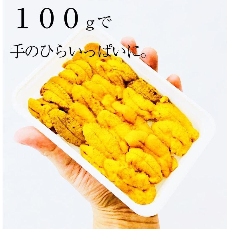 冷凍生うに ミョウバン不使用 100g×9パック うに丼約18杯分のお試しサイズ ウニ 雲丹