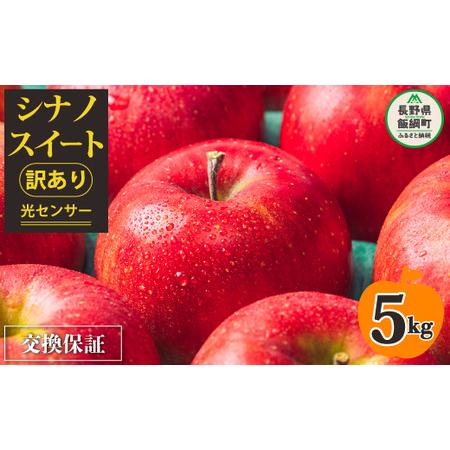 ふるさと納税 りんご ５Kg  果物 訳あり シナノスイート 長野県 「感謝りんご」 交換保証 不揃い 規格外 傷あり ５キロ.. 長野県飯綱町