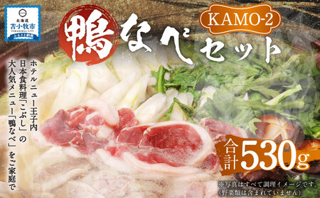 鴨なべセットKAMO-2 合鴨スライス 200g×2 濃縮スープ 65g×2袋