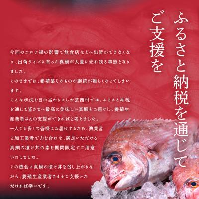 ふるさと納税 芸西村 高知の海鮮丼の素「真鯛の漬け」1食80g×5P 「マグロの漬け」1食80g×5P