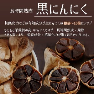 ガツンと！ 黒にんにく 1箱24包 舞鶴産黒ニンニク ペースト