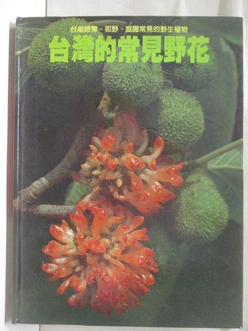 【書寶二手書T7／動植物_VMZ】高_台灣的常見野花