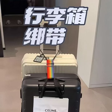 隔日到貨🐲行李捆綁帶 行李箱綁帶 綁貨帶 固定帶 行李箱扣帶 旅行綁帶 壓扣綁帶 拉繩 汽車 繩子 推車掛帶 固定帶