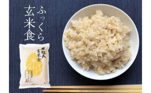  ふっくら玄米食 2kg 新潟産 米杜氏 壱成 特別栽培米 1H11005