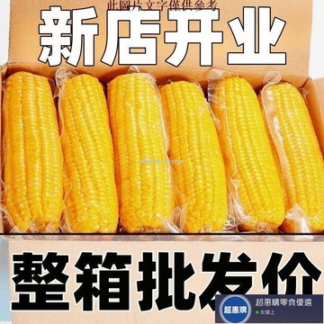 🔥超惠購💯新鮮好貨☑️新鲜黄糯玉米棒10根真空装黄糯玉米批发黏苞米