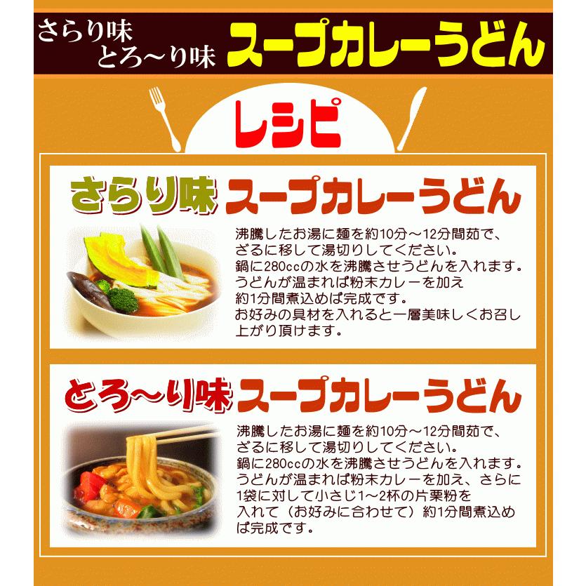 送料無料 うどん 激選スープカレーうどん10人前セット