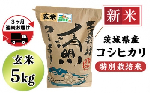 20-22茨城県産コシヒカリ特別栽培米5kg（玄米）