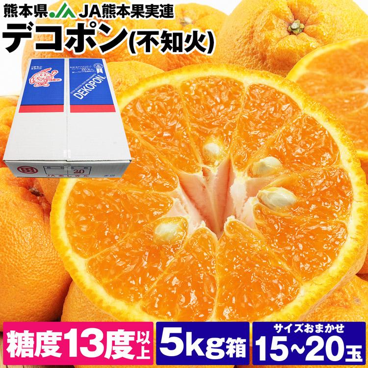 デコポン 熊本県産 (ハウス栽培) 15〜20玉 糖度13度選果設定 5kg箱満杯詰め 不知火 柑橘 みかん 同梱不可 指定日不可