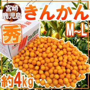 宮崎・鹿児島県 ”きんかん” 秀品 M～L 約4kg 金柑 送料無料