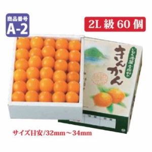 冬ギフト 鹿児島 完熟きんかん 2L級60個  キンカン 金柑 お歳暮 御歳暮 ギフト対応