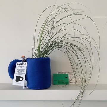 泡泡杯 12 SEA - 支架