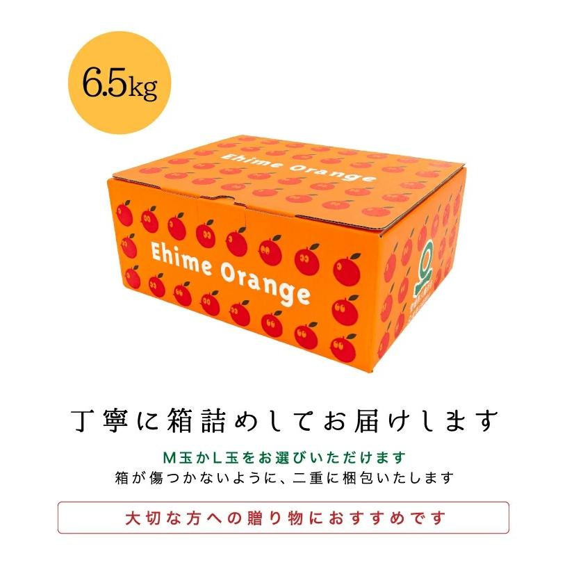 「贈答みかん6.5」愛媛西宇和産みかん 贈答用6.5キロ