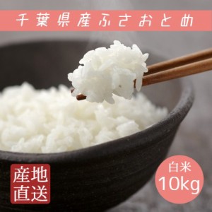 新米 米 お米 白米 10kg 5kg×2袋 ふさおとめ 令和5年産 本州四国 送料無料