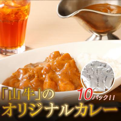 ふるさと納税 木城町 「山牛」のオリジナルカレー10パックセット