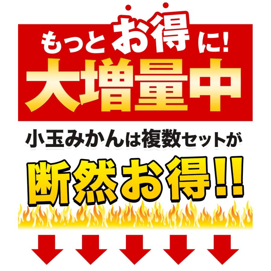 小玉 みかん 訳あり 送料無料 ミカン わけあり 小玉 小粒 送料無料 フルーツ お取り寄せ 1kg 温州 果物 3s-sサイズ 11月中旬-12月上旬頃より発送予定