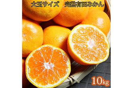 大玉サイズ　完熟有田みかん　１０kg※2023年11月下旬～2024年1月下旬頃に順次発送予定