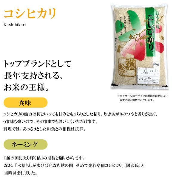 米15kg 米 お米 15kg コシヒカリ こしひかり 5kg×3袋 セット 送料無料 こめ 白米 精米 小分け 宮崎県産