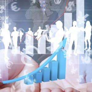 Creating a Portfolio