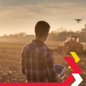 Agile Innovation and Problem Solving Skills