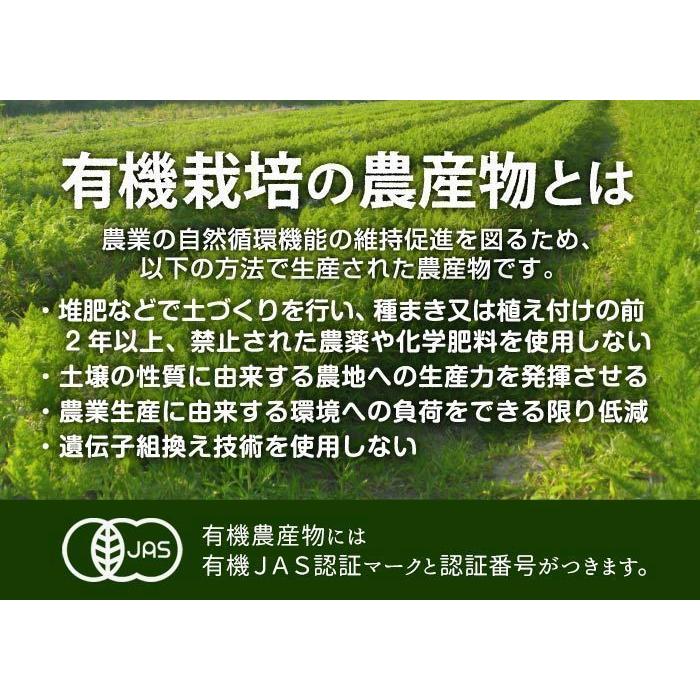 有機かぼちゃ 5kg(2〜4玉) 鹿児島県産 宮崎県産 栗系品種 有機栽培 有機JAS 南瓜 オーガニック カボチャ 南京 無農薬 発送期間6〜7月 11〜12月