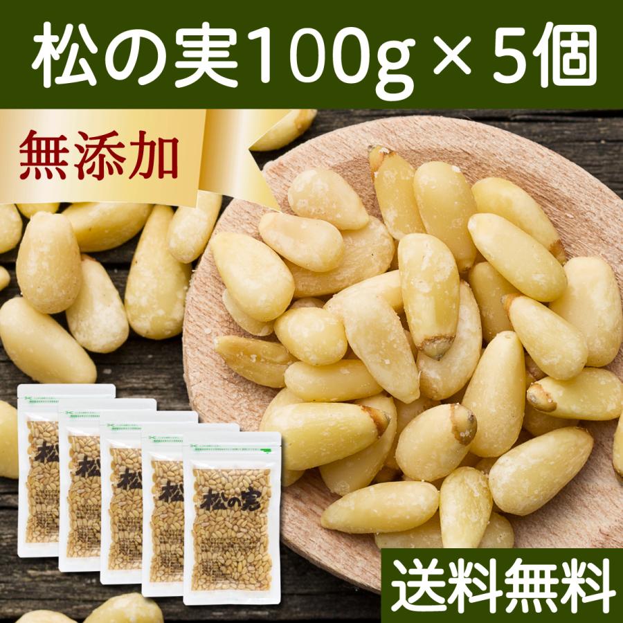 松の実 100g×5個 無添加 無塩 おすすめ 人気 ノンオイル 送料無料