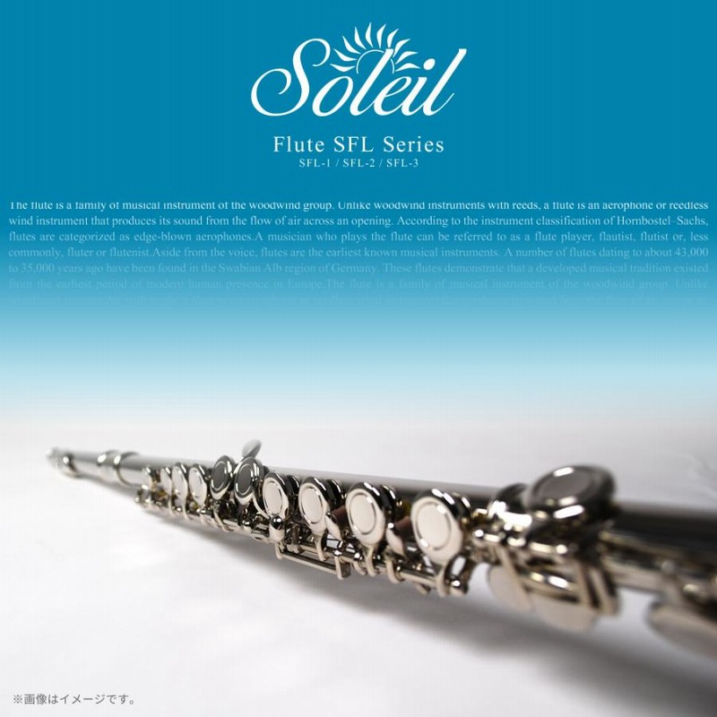 Soleil フルート SFL-1 初心者入門セット〔ソレイユ SFL1 木管楽器 横笛 FLUTE〕 | LINEブランドカタログ