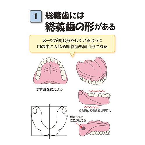 入れ歯三十一景