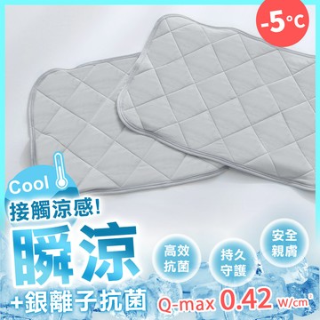 瞬涼銀離子抗菌-涼感枕墊(枕頭保潔墊1入) SUPERCOOL接觸涼感[鴻宇]-晨霧灰