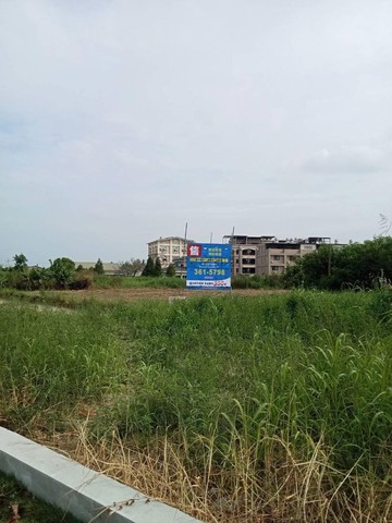 岡山橋科都內友情段方正農地稀有釋出｜高雄市岡山區友情段