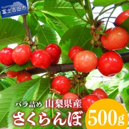 山梨県産 紅秀峰 さくらんぼ (500g) バラ詰め