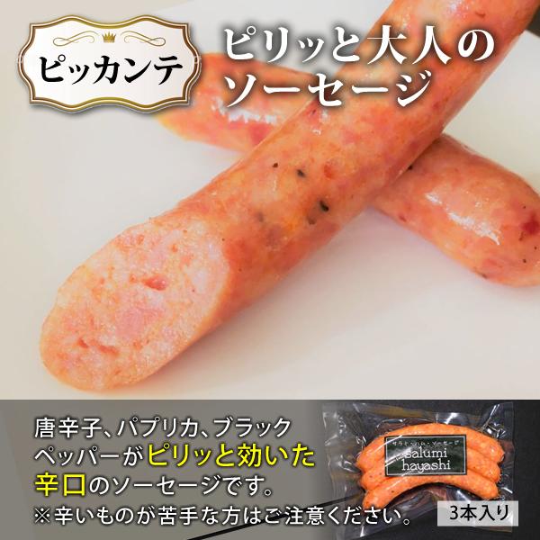 バーベキュー ソーセージ ベーコン 5種類 北海道産豚肉100% BBQ お取り寄せグルメ 冷蔵 送料無料 ギフト 贈答品 お歳暮 御歳暮 クリスマス