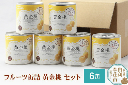 Sanuki フルーツ缶詰 黄金桃 6缶セット