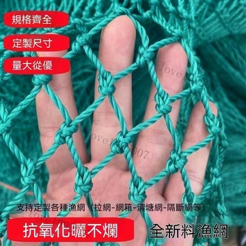植物爬藤網 加粗果園防鳥網 養殖養鷄網 藤蔓植物搭架網 絲瓜爬藤網 天頂防護網 攀爬網 藤網 漁網 養殖網 防鳥網 圍網