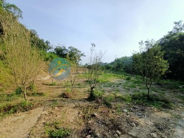 南投縣北中寮龍眼林5.8分平坦夯農地｜南投縣中寮鄉龍眼林段