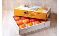 和歌山県産の美味しい富有柿 約4kg （10～15玉入り）