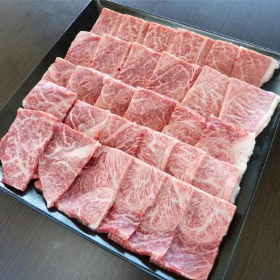 ふるさと納税 輪之内町 A5ランク飛騨牛赤身肉焼き肉用1kg(モモ又はカタ)