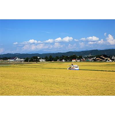 ふるさと納税 十日町市 新潟県認証米 魚沼産川西こしひかり1合×10個 全6回