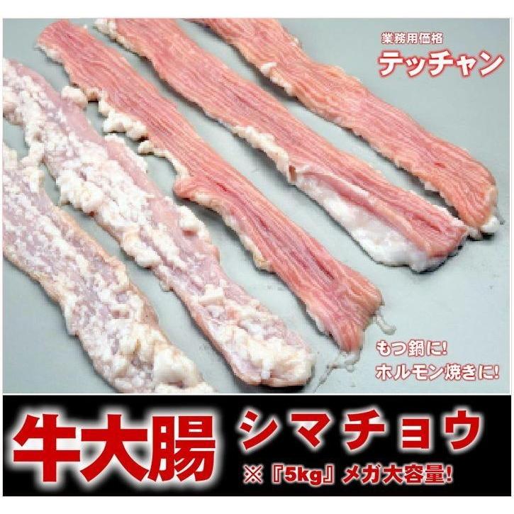 牛大腸　シマ腸　テッチャン　ホルモンメガ盛り１ケース（5ｋｇ）