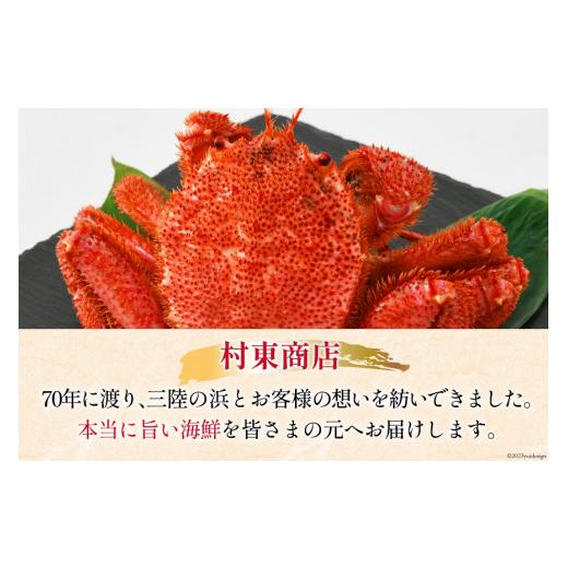 ふるさと納税 宮城県 気仙沼市 ＜先行予約＞かに 三陸産浜ゆで毛ガニ 約500g×2 計1kg [村東商店 宮城県 気仙沼市 20562147] 冷蔵 カニ 毛がに 魚介 海鮮 毛ガ…